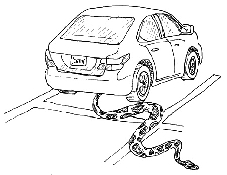 Иллюстрация к книге — Как говорить, чтобы маленькие дети вас слушали. Руководство по выживанию с детьми от 2 до 7 лет [i_147.jpg]