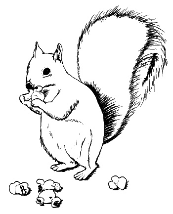 Иллюстрация к книге — Как говорить, чтобы маленькие дети вас слушали. Руководство по выживанию с детьми от 2 до 7 лет [i_156.jpg]