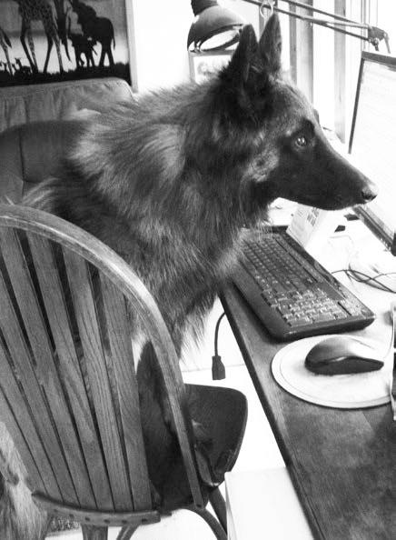 Иллюстрация к книге — Как говорить, чтобы маленькие дети вас слушали. Руководство по выживанию с детьми от 2 до 7 лет [i_157.jpg]