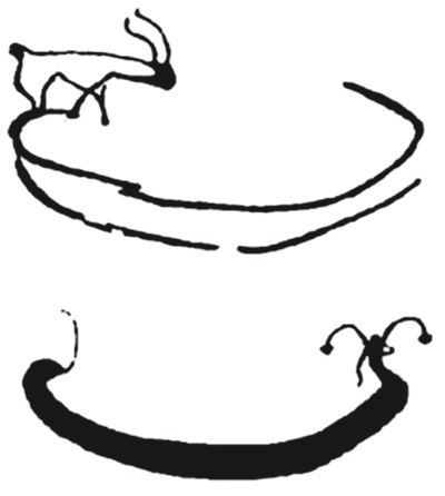 Иллюстрация к книге — Додинастический Египет. Лодка у истоков цивилизации [i_010.jpg]