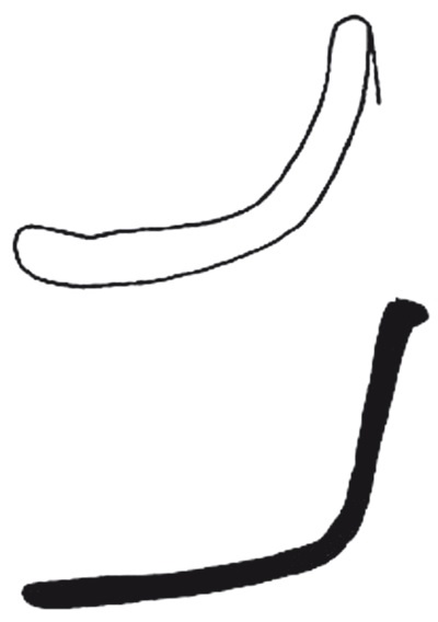 Иллюстрация к книге — Додинастический Египет. Лодка у истоков цивилизации [i_024.jpg]