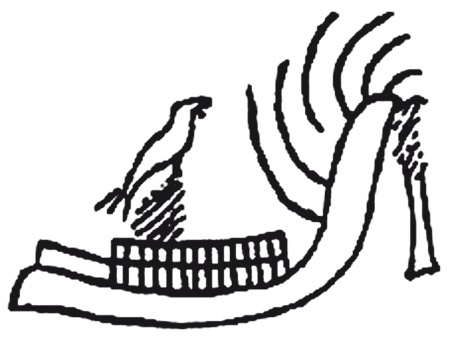 Иллюстрация к книге — Додинастический Египет. Лодка у истоков цивилизации [i_026.jpg]