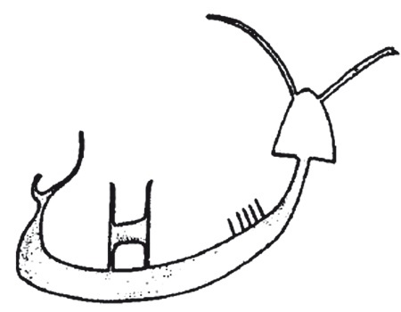 Иллюстрация к книге — Додинастический Египет. Лодка у истоков цивилизации [i_043.jpg]