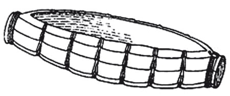 Иллюстрация к книге — Додинастический Египет. Лодка у истоков цивилизации [i_061.jpg]