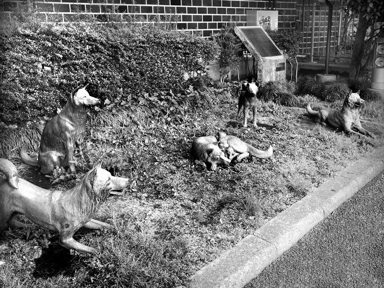 Иллюстрация к книге — От Эдо до Токио и обратно. Культура, быт и нравы Японии эпохи Токугава [i_058.jpg]