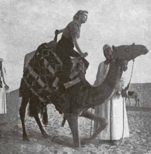 Иллюстрация к книге — Тайны парижских манекенщиц [i_052.jpg]