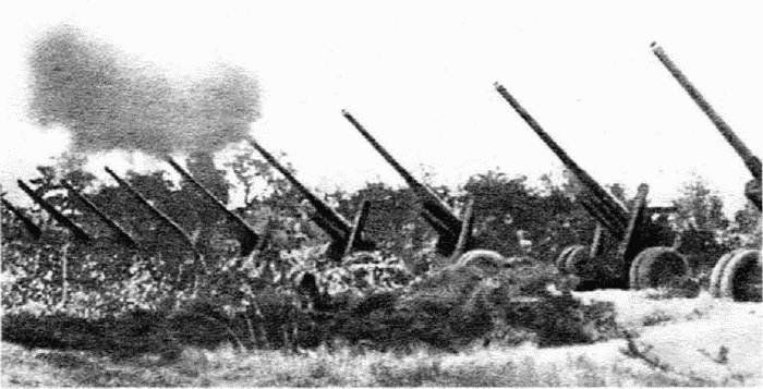 Иллюстрация к книге — 1945. Блицкриг Красной Армии [i_024.jpg]