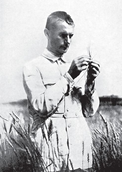 Иллюстрация к книге — Кровавый век [_362.jpg]