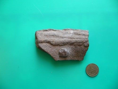 Иллюстрация к книге — Феномены древней культуры востока Северной Азии [i_008.jpg]