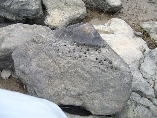 Иллюстрация к книге — Феномены древней культуры востока Северной Азии [i_037.jpg]