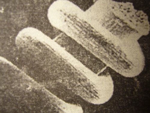 Иллюстрация к книге — Феномены древней культуры востока Северной Азии [i_057.jpg]