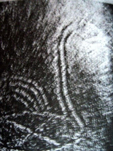 Иллюстрация к книге — Феномены древней культуры востока Северной Азии [i_073.jpg]