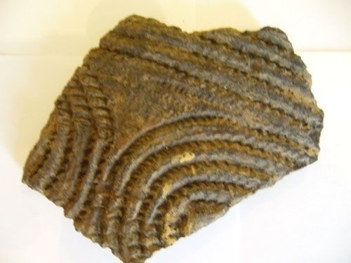 Иллюстрация к книге — Феномены древней культуры востока Северной Азии [i_082.jpg]