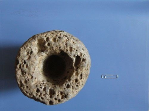 Иллюстрация к книге — Феномены древней культуры востока Северной Азии [i_138.jpg]