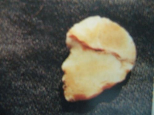 Иллюстрация к книге — Феномены древней культуры востока Северной Азии [i_147.jpg]