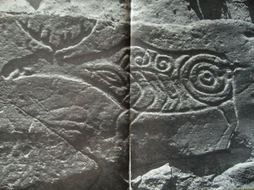 Иллюстрация к книге — Феномены древней культуры востока Северной Азии [i_163.jpg]