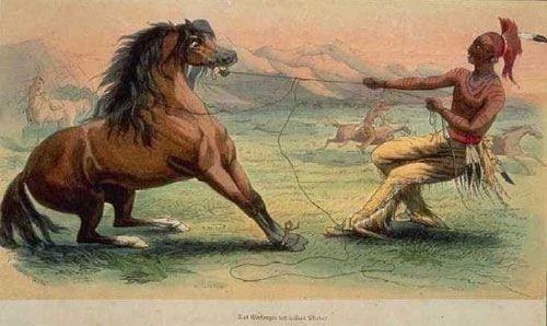 Иллюстрация к книге — Запросы плоти. Еда и секс в жизни людей [_031.jpg]