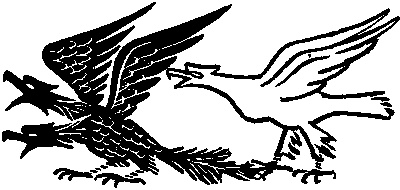 Иллюстрация к книге — Пестрые истории [img5567.jpg]