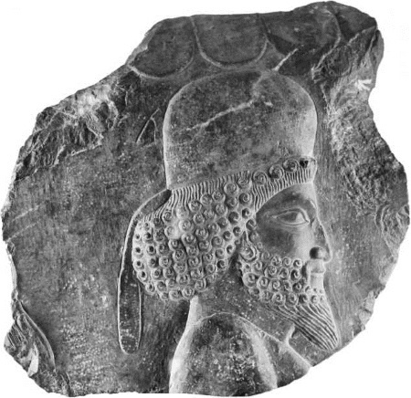 Иллюстрация к книге — Лекции по истории Древнего Востока. От ранней архаики до раннего средневековья [i_001.jpg]