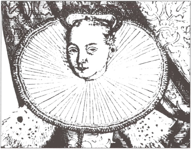 Иллюстрация к книге — Огнем и мечом. Россия между "польским орлом" и "шведским львом". 1512-1634 гг. [i_022.jpg]