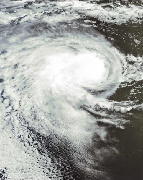 Иллюстрация к книге — Принцип апокалипсиса. Сценарии конца света [i_001.jpg]