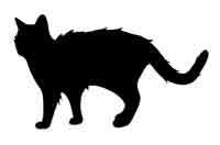 Иллюстрация к книге — Обещание ведьмы [block_00122411.jpg]