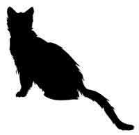 Иллюстрация к книге — Обещание ведьмы [block_001224121.jpg]