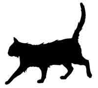 Иллюстрация к книге — Обещание ведьмы [block_00122419.jpg]