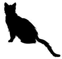 Иллюстрация к книге — Обещание ведьмы [block_00122433.jpg]