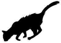 Иллюстрация к книге — Обещание ведьмы [block_00122443.jpg_0.jpg]