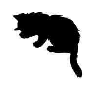 Иллюстрация к книге — Обещание ведьмы [block_00122455.jpg]