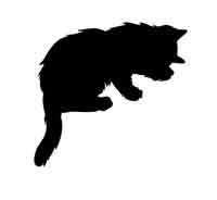 Иллюстрация к книге — Обещание ведьмы [block_00122480.jpg]