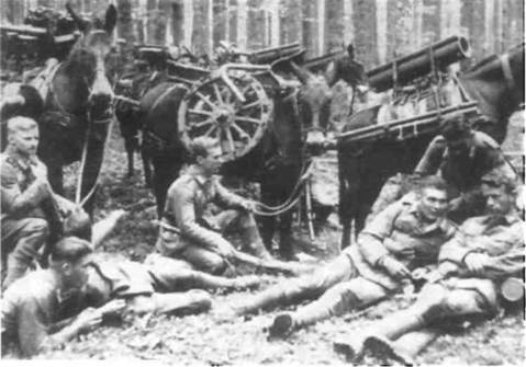 Иллюстрация к книге — Боевое снаряжение вермахта 1939-1945 гг. [any2fbimgloader12.jpg]