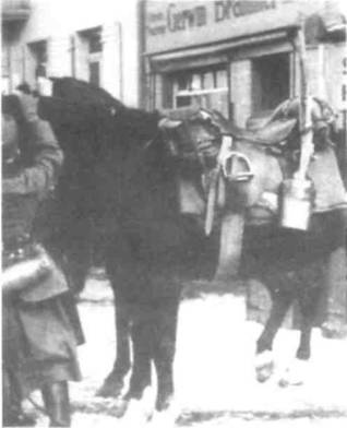 Иллюстрация к книге — Боевое снаряжение вермахта 1939-1945 гг. [any2fbimgloader54.jpg]