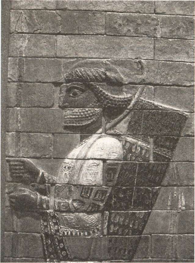 Иллюстрация к книге — Расовые мифы нацизма. Врага надо знать! [i_006.jpg]