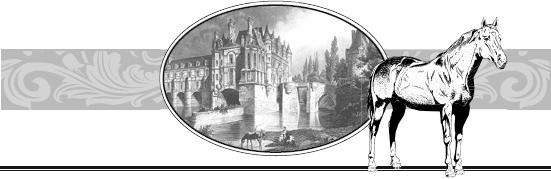 Иллюстрация к книге — Открытие Франции. Увлекательное путешествие длинной 20 000 километров по сокровенным уголкам [_10.jpg]