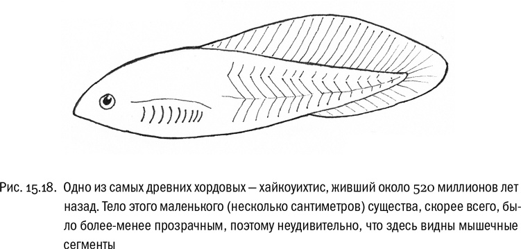 Иллюстрация к книге — От атомов к древу. Введение в современную науку о жизни [img_103.jpg]