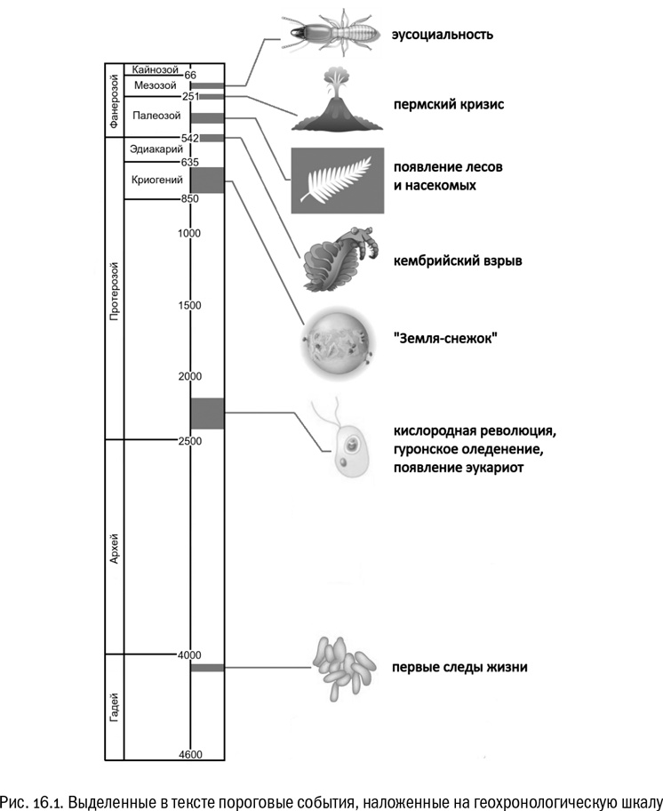 Иллюстрация к книге — От атомов к древу. Введение в современную науку о жизни [img_104.jpg]