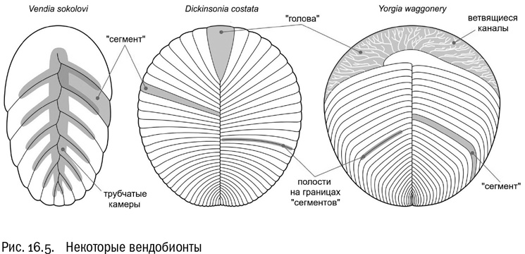 Иллюстрация к книге — От атомов к древу. Введение в современную науку о жизни [img_108.jpg]