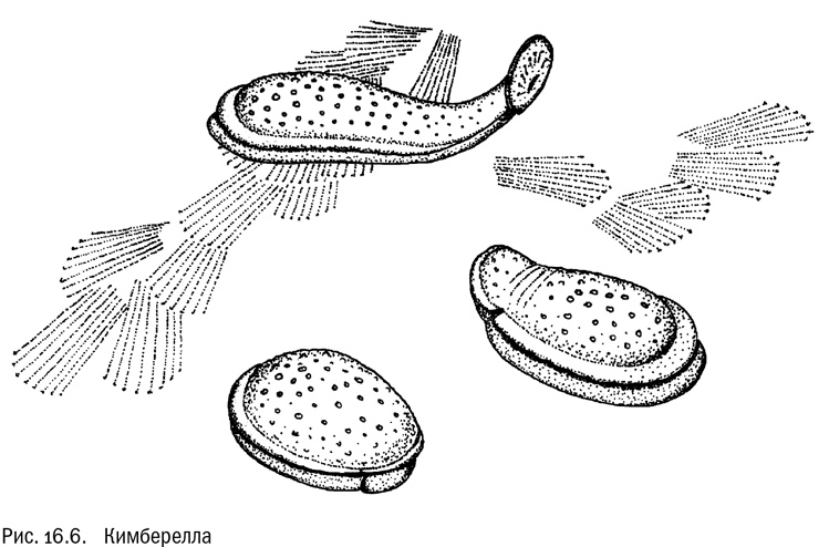 Иллюстрация к книге — От атомов к древу. Введение в современную науку о жизни [img_109.jpg]