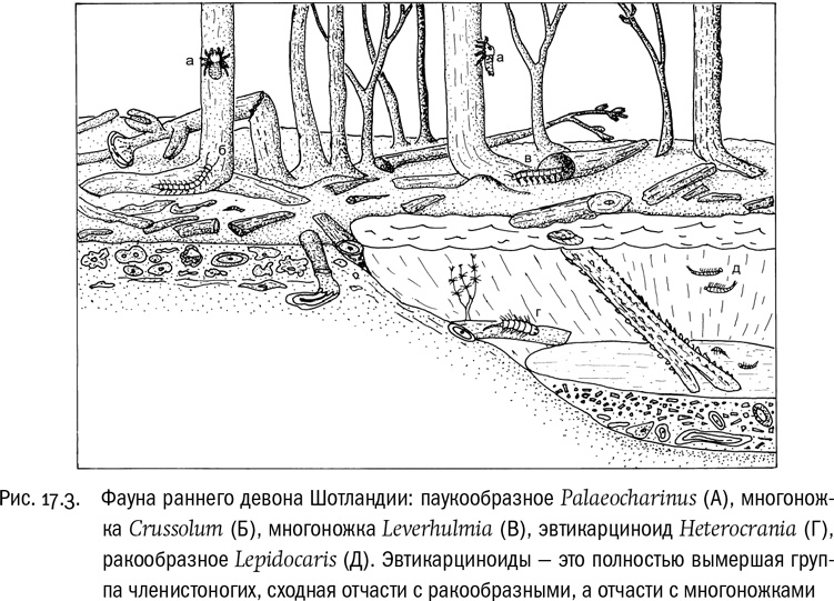Иллюстрация к книге — От атомов к древу. Введение в современную науку о жизни [img_112.jpg]