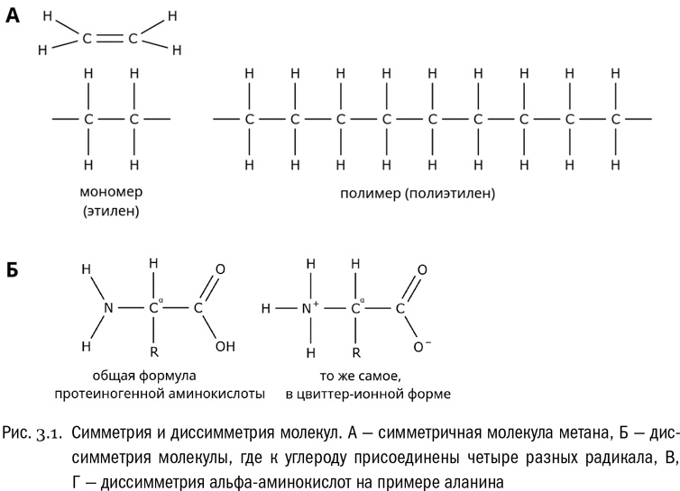 Иллюстрация к книге — От атомов к древу. Введение в современную науку о жизни [img_14.jpg]