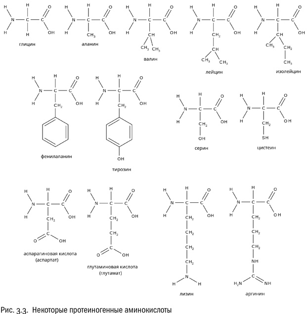 Иллюстрация к книге — От атомов к древу. Введение в современную науку о жизни [img_16.jpg]