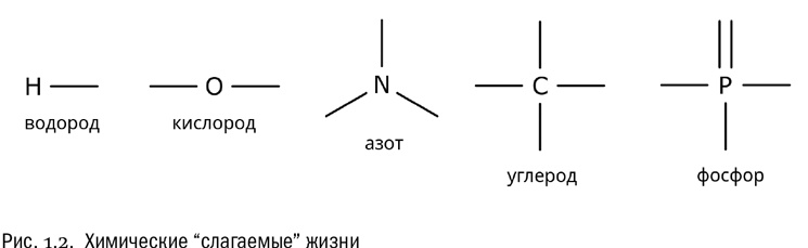 Иллюстрация к книге — От атомов к древу. Введение в современную науку о жизни [img_3.jpg]