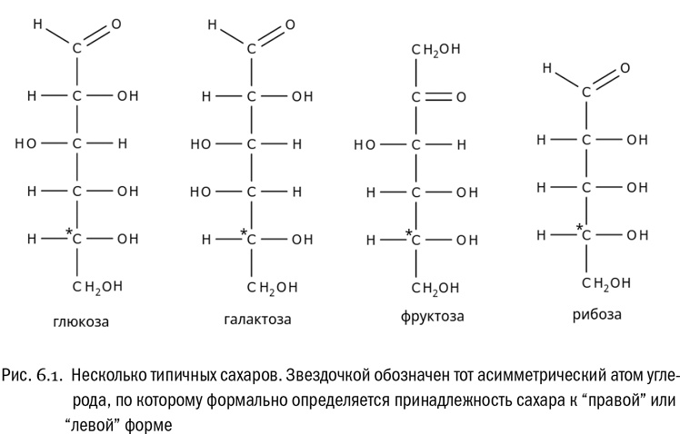 Иллюстрация к книге — От атомов к древу. Введение в современную науку о жизни [img_30.jpg]