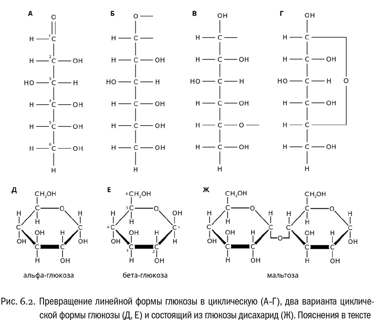 Иллюстрация к книге — От атомов к древу. Введение в современную науку о жизни [img_31.jpg]
