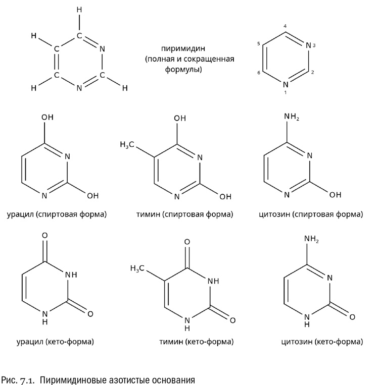 Иллюстрация к книге — От атомов к древу. Введение в современную науку о жизни [img_36.jpg]