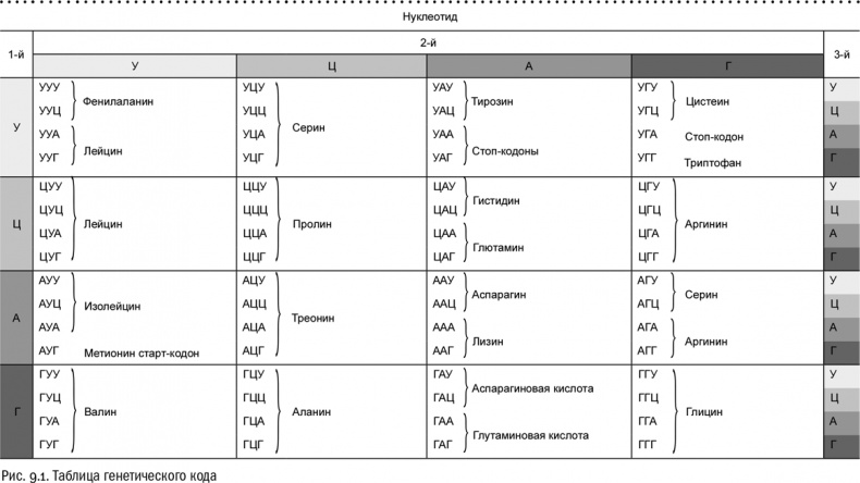 Иллюстрация к книге — От атомов к древу. Введение в современную науку о жизни [img_45.jpg]
