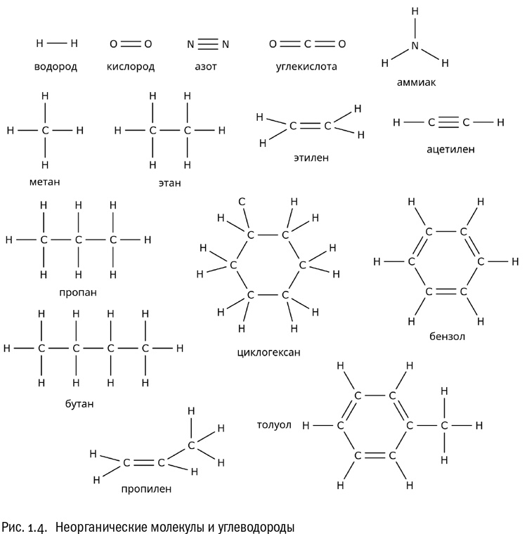 Иллюстрация к книге — От атомов к древу. Введение в современную науку о жизни [img_5.jpg]