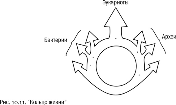 Иллюстрация к книге — От атомов к древу. Введение в современную науку о жизни [img_63.jpg]